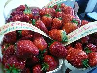 LE PRINTEMPS DANS VOS ASSIETTES